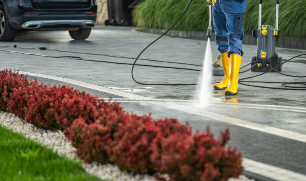Best Sidewalk and Walkway Cleaning  in Bolinas, CA